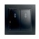 Switch (switch) electric 2-clavy, stekker series Erna, PSW10-9008-03, black 1022451