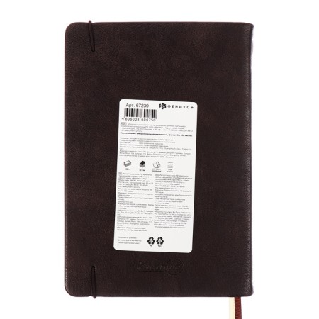 Diary Nedtir A5 160l Escalada, TV Region, Light claim, Las, tone BL 70g/m2, brown-17