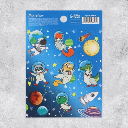 Paper stickers "Cosmos", 11 × 15.5 cm