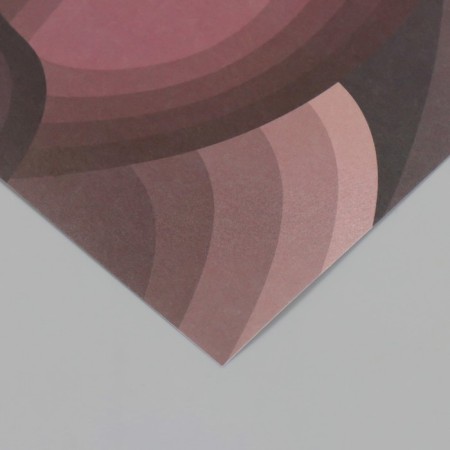 Scrapbooking paper "petals" density 180 grams set 10 pcs 15.5x17 cm-3