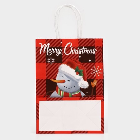Package Gift craft "Snowman" 15 × 21 × 8 cm-2