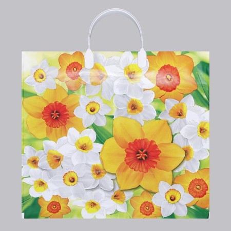 Package "Narcissus", polyethylene with a plastic pen, 80 μm 37 x 34 cm