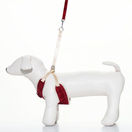 A set with a soft cage "cells", size S, leash, 120 x 1.5 cm, og 28-62 cm, red-1