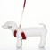 A set with a soft cage "cells", size S, leash, 120 x 1.5 cm, og 28-62 cm, red