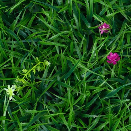 Decorative panel, 60 × 40 cm, "Flower meadow", Greengo-13