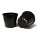 Pot for seedlings, 15 l, d = 31 cm, h = 26 cm, black, Greengo