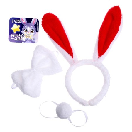 Carnival set "Bunny", 3 objects: rim, butterfly, tail-1