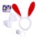 Carnival set "Bunny", 3 objects: rim, butterfly, tail