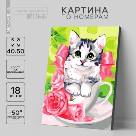 Picture on numbers on a canvas with a subframe "kitten in a cup", 40 x 50 cm