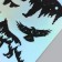 Holographic stickers (stickers) "Wild animals" 10x15 cm, 5-205