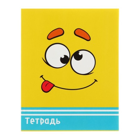 Notebook of 48 sheets in Calligrata Smiley, cover coated cardboard, offset block, mix-8