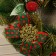 New Year's Wreath D-30 cm "Bright fairy tale" bows snowflakes