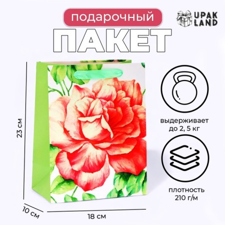 Laminated "Flower" package, MS 18 × 23 × 10 cm