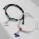 Bracelets "Demetrons" butterflies with beads, color, 8 cm