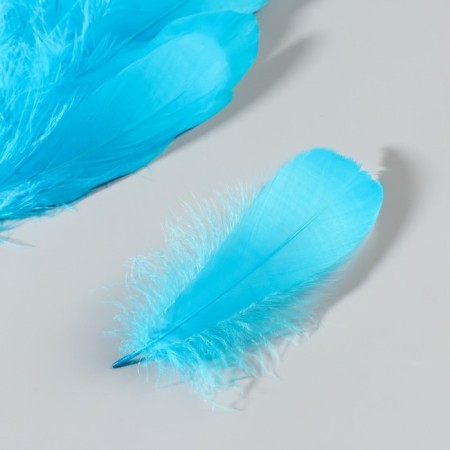 A set of feathers of the goose 13-18 cm, 20 pcs, light turquoise-2