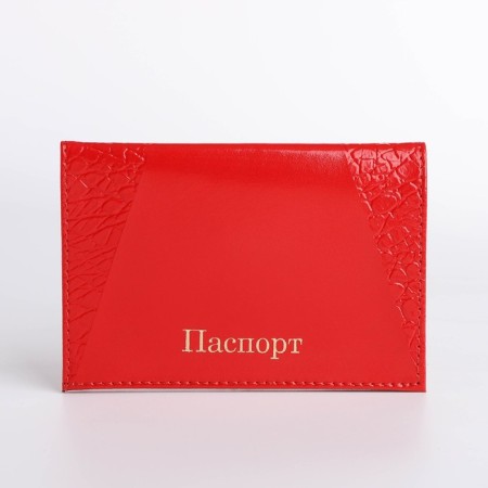 Cover for passport, red color-1