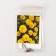Flower seeds of marigolds "Durango", Gold, Pan American, 10 pcs