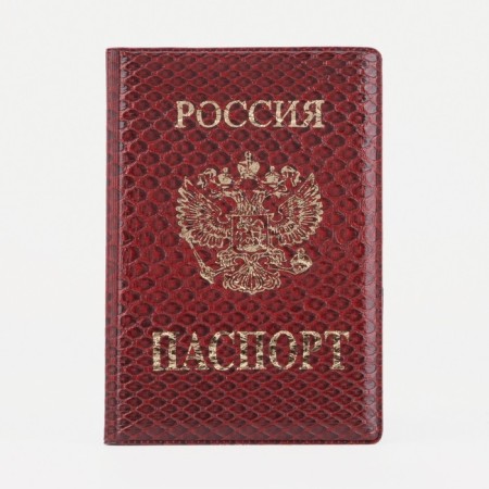 Cover for passport, red color-1