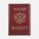 Cover for passport, red color
