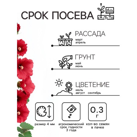Семена Шток-роза Индийская весна, смесь сортов , 0,3г-1