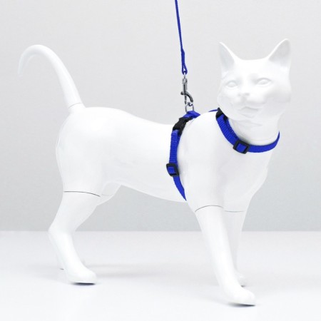 Kit for cats, width 1 cm, Osh 16.5-27 cm, fire 21-35 cm, leash 120 cm, blue-3