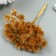 Artificial plant for creativity "spruce balls" 1 bouquet = 6 branches of bronze 14 cm