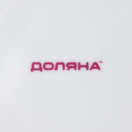 Plate Ceramic dinner shade "Madonna", d = 23 cm, white color-4