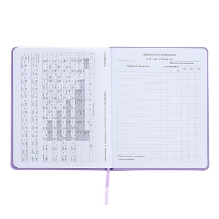 Universal diary for grade 1-11, well, solid cover, artificial leather, silkography, lies, 80 g/m2-10