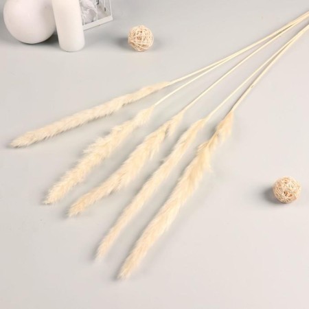Sukhotzet "Cortery" 65 cm, white (packing 5 pcs, price per 1 pc)