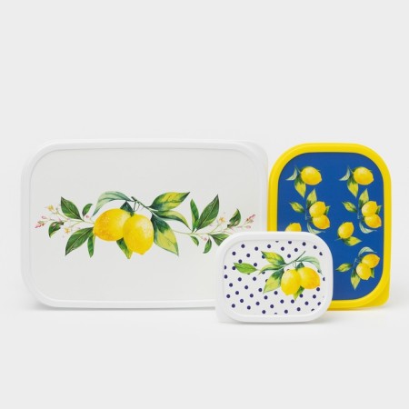 A set of food containers of the Dolyan Lemons, 3 pcs: 150 ml, 500 ml, 1.2 l, rectangular-1