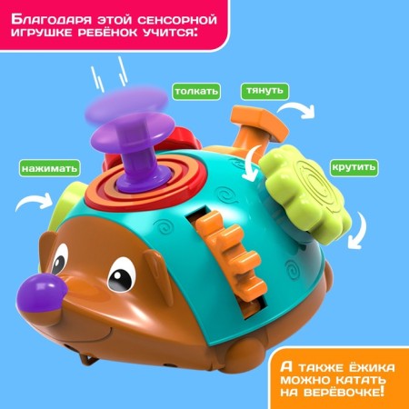 Developing set "Miracle Hedgehog"-1