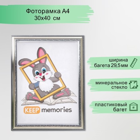 Photo frame plastic 30x40 cm silver (790)