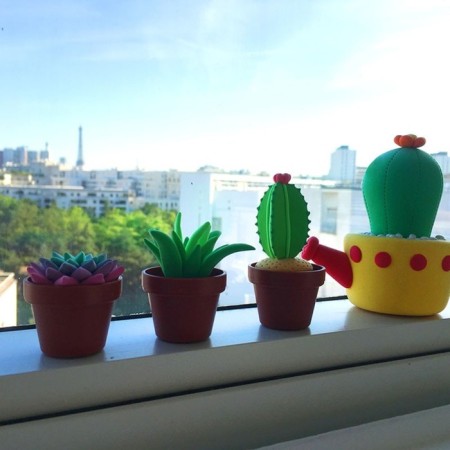 Sentosphere Patarev cacti, in a blister-1