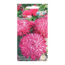 Flowers of Astra 