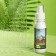 Grand Caratt Shanghai, white tea, 100 ml