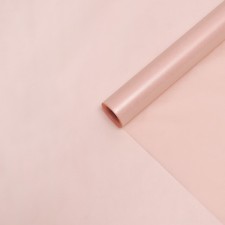 Paper 