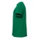 Male T -shirt, size 50, green color