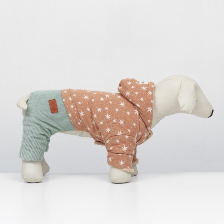 Kombinson "Walk", size L (DS 32, OG 48, Osh 33 cm, up to 8.5 kg), beige/mint-2