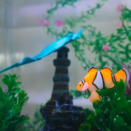 Decor for the Aquarium "Clown Oerlaris", silicone, with a neon effect, 6.6 x 4.3 cm-1