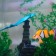 Decor for the Aquarium "Clown Oerlaris", silicone, with a neon effect, 6.6 x 4.3 cm