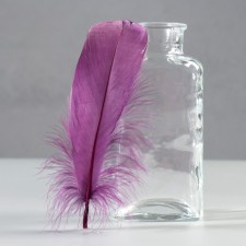 A set of goose feathers 13-18 cm, 20 pcs, dark purple