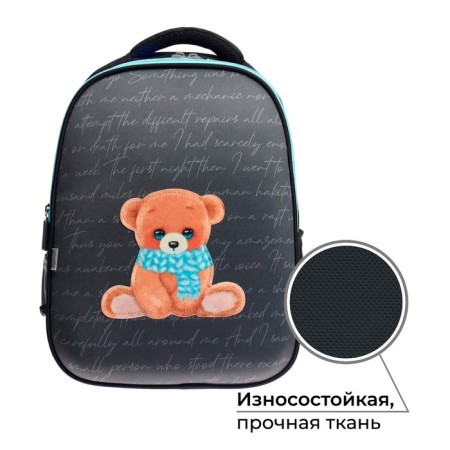 Bear Calligrata Bear Bear, 39 x 30 x 14 cm-2