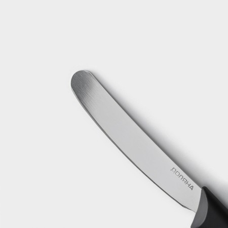 Knife for oil "Grime", blade 11 cm, black color-2