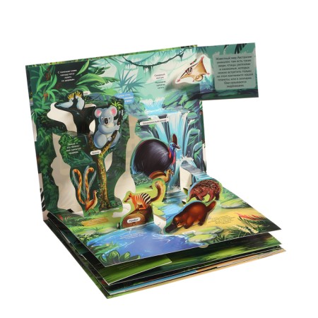 3D Encyclopedia Panoramk "Jungle"-3