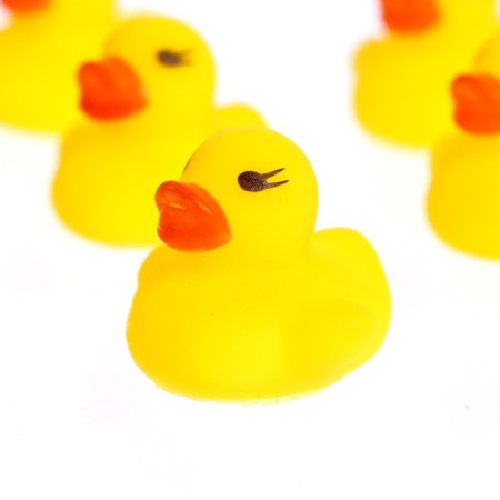 Developing bathtub "smart ducklings", mix colors-4
