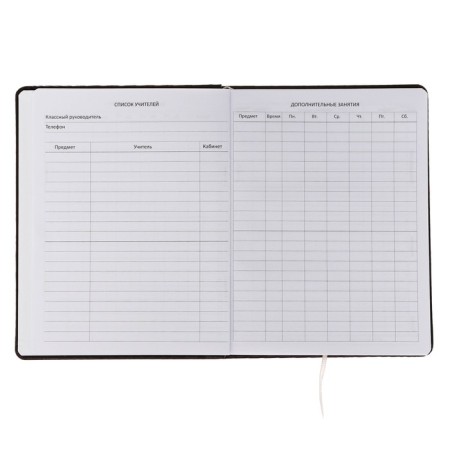 Universal diary for Tokyo grade 1-11, hard cover, artificial leather, silk-screen printing, Lyasse, 80 g/m2-5