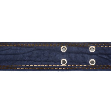 Collar combined leather/tarpaulin, dimensionless, 83 x 4.5 cm, Osh 20-70 cm, blue-5