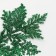 Decorative twig "amazement" in green color, 0.3 × 12 × 28 cm