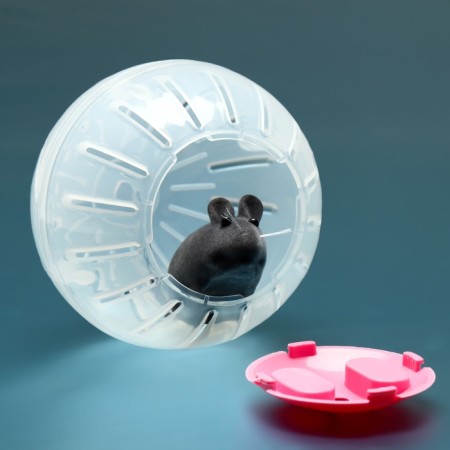 A ball for rodents, 12 cm, pink-2