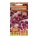 Brussels Cabbage seeds "Rubin gourmet", 0.1 g